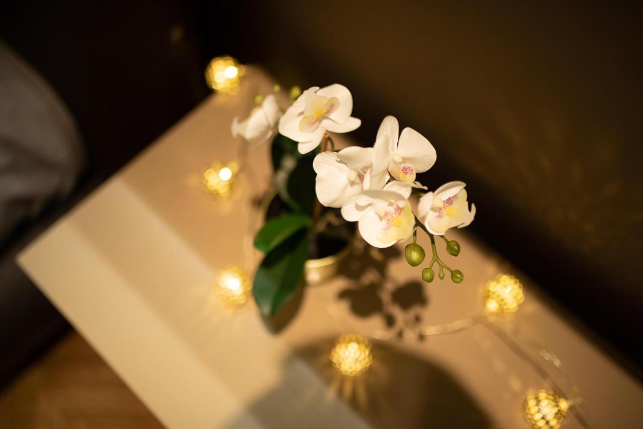 Apartment Ns Life Novi Sad Dış mekan fotoğraf